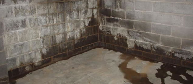 Basement Waterproofing Estimate in New Jersey